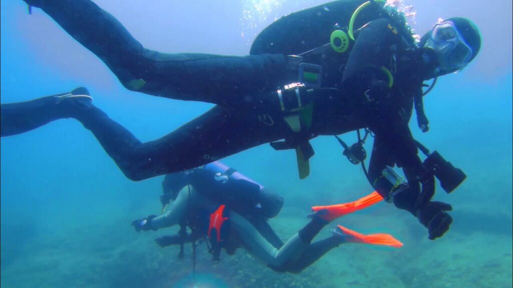 maxresdefault | Entdecke die Unterwasserwelt in Buqez!