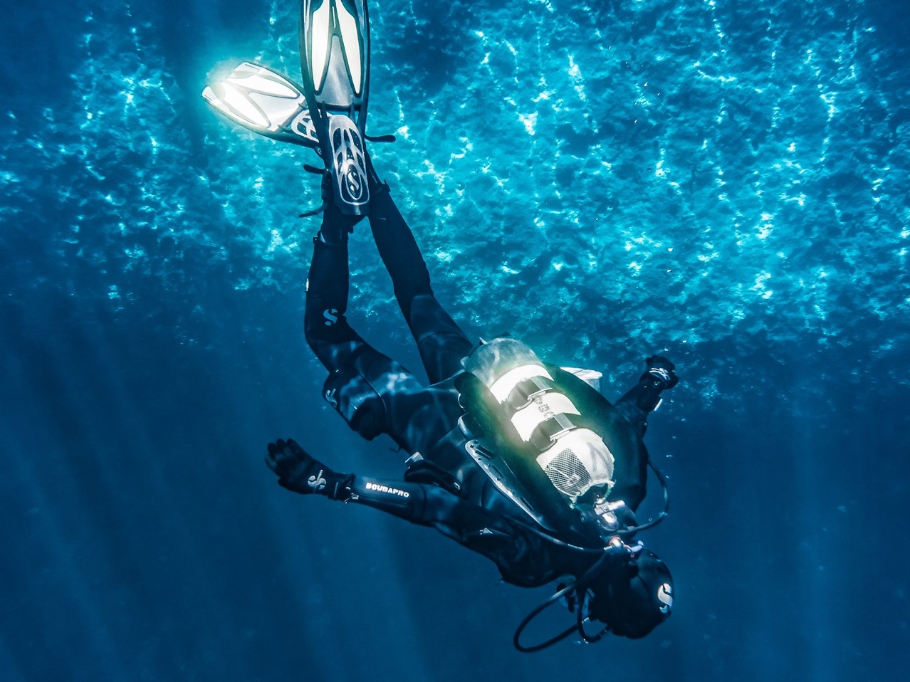 pexels pia 3046637 | Explore the underwater world in BUQEZ!